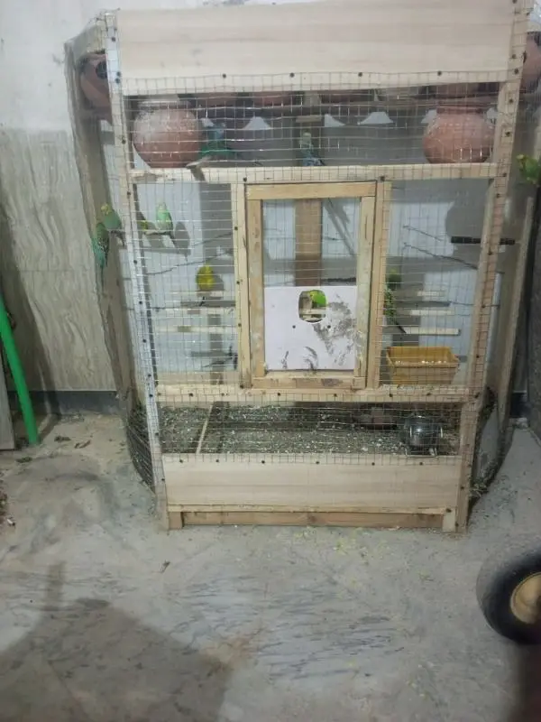 beautiful Colony Wooden cage for Sale Rs 12500/- — photo 4