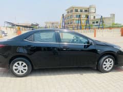 corolla