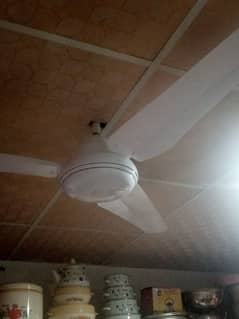 rado fan argent sale  jranti my hy abi