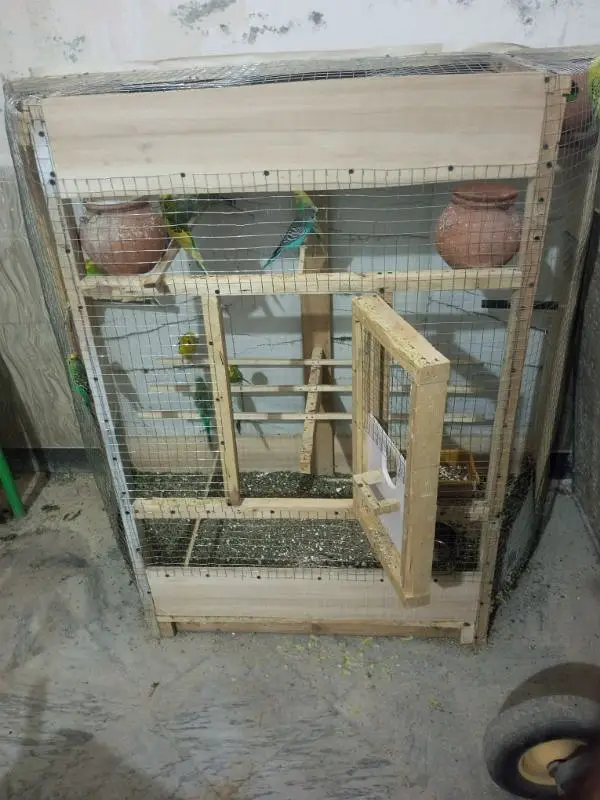 Beautiful Wooden Colony Cage for Australian Parrots for 12,500/- — photo 3