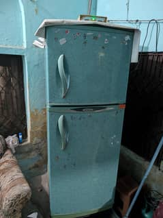 Frige