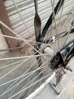 Biscycle