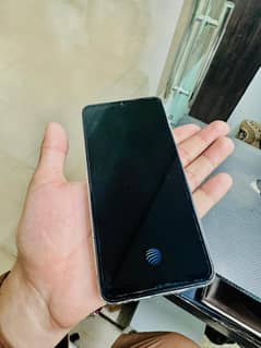 vivo