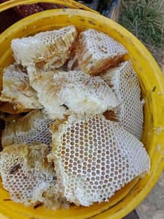 honey
