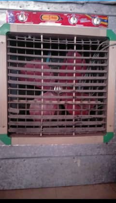 lahori cooler