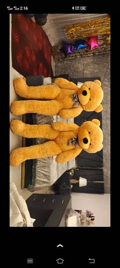 Teddy
