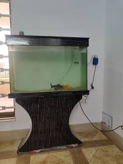 Aquarium