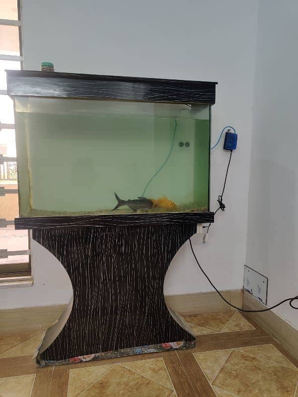 Aquarium with fish 1