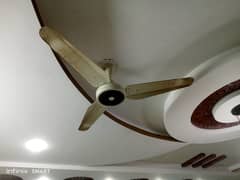 Ceiling