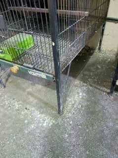 1.5 by 2.5 cages neat and clean