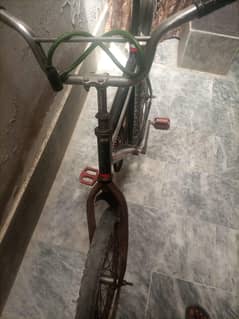 my bicycle