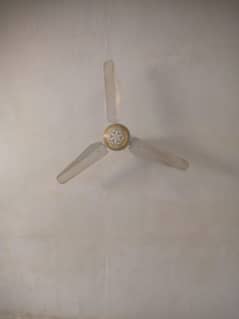 fan for sale
