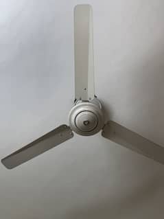 Roof Fan