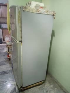 fridge