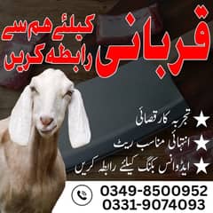 Qasai for Qurbani / Qasai / Qasai Available for Qurbani / Book a Qasai