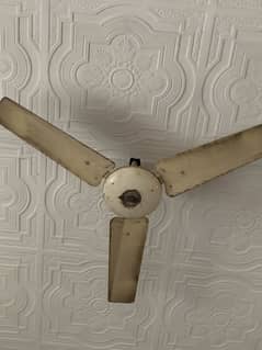 Celling