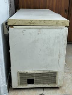 Deep Freezer 18 CFT (Waves)