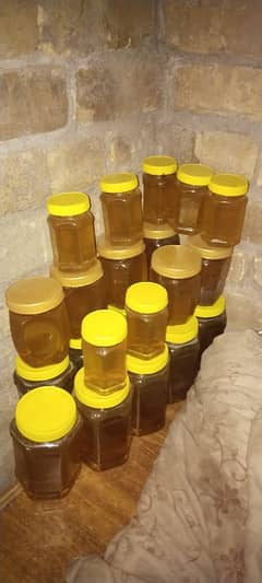 honey palawsa and beri