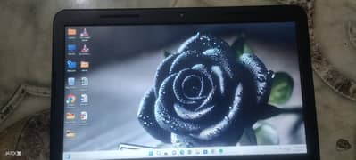 core
