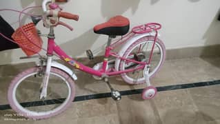 Imported Bicycle