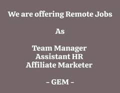 GEM Institution is offering online jobs