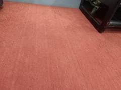 19 by 10 feet Carpet