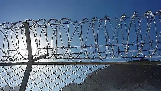 Fence Mesh Net Chainlink spot welded mesh 03007028033 17
