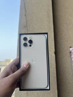 Iphone 12 pro max 256 pta approved