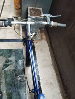 Bicycle