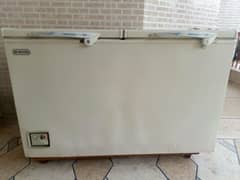 Waves D Freezer