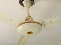 Ceiling Fan 1 Month used just