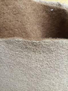 Carpet