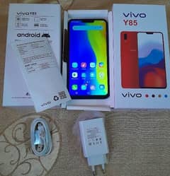 vivo