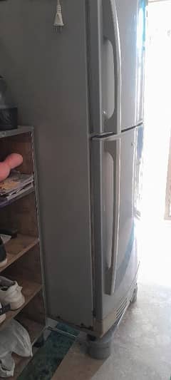PEL MEDIUM SIZE REFRIGERATOR