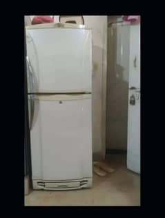 frige