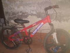 bicycle top drive