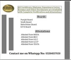 All diploma certificate experience letter resume available now