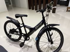 Bridgestone bicycle imported