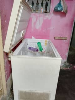 D freezer waves company