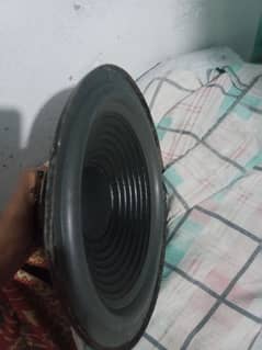 10 inch speakers