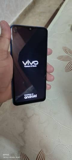 Vivo
