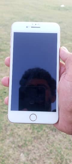 iPhone 8 plus