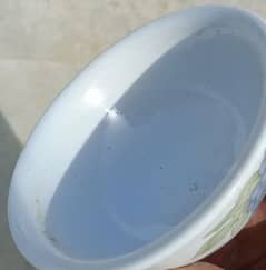 Ceramic bowls for Soup,Ice Cream, Dessert,Tea