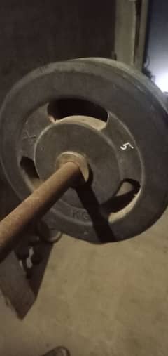 Bench press for chest and legs workout complete beginners set