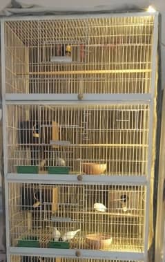 Cage
