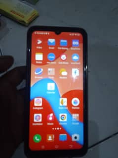 vivo