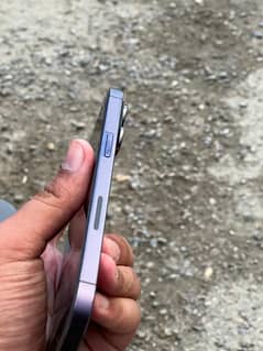 14 promax