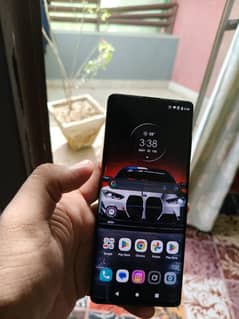 MOTOROLA