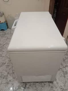 Haier deep freezer full size single door