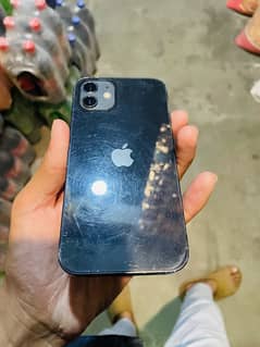 iPhone 12 for sale